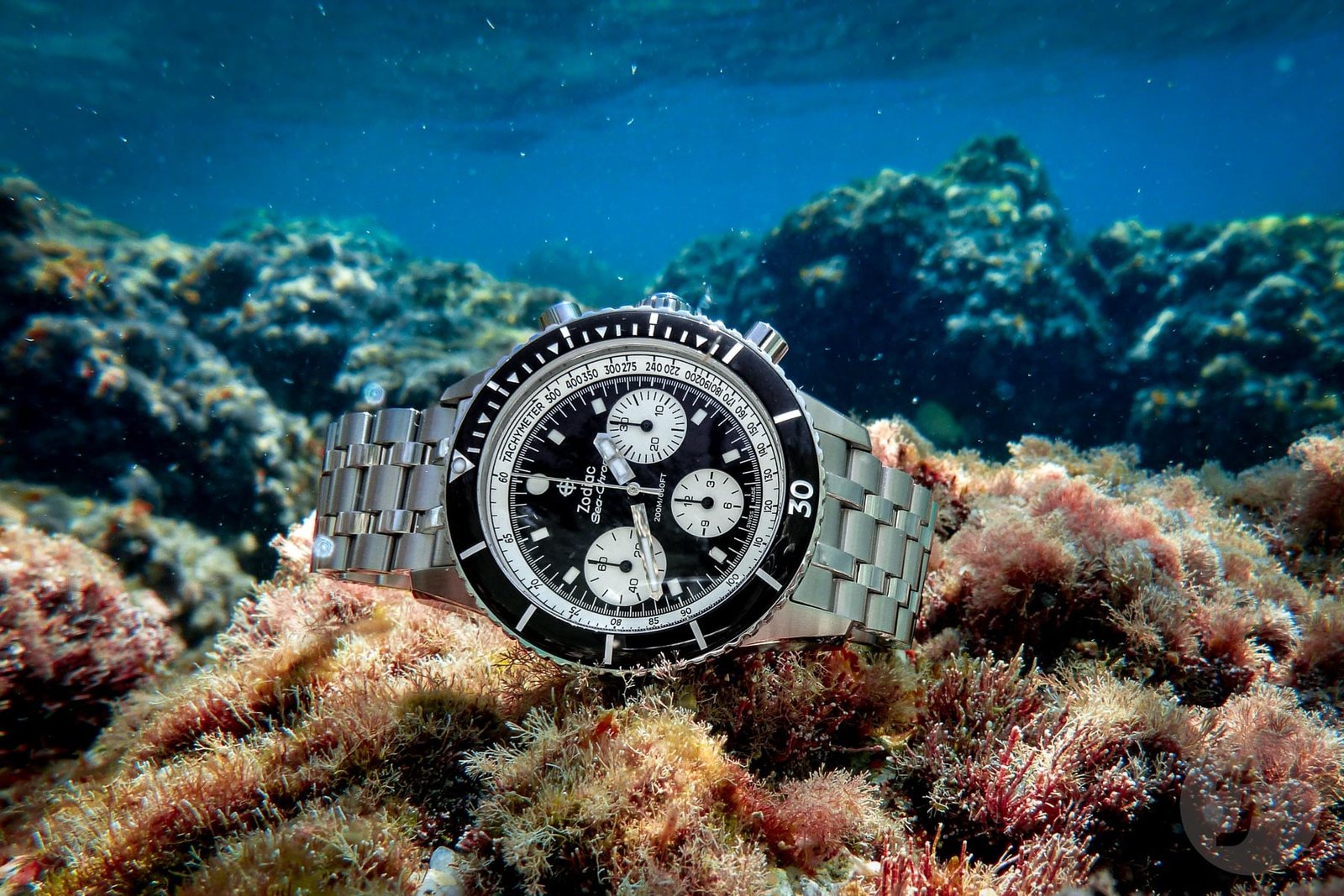 Explore Dive Chronographs: The Ultimate Tool Watches for Adventure