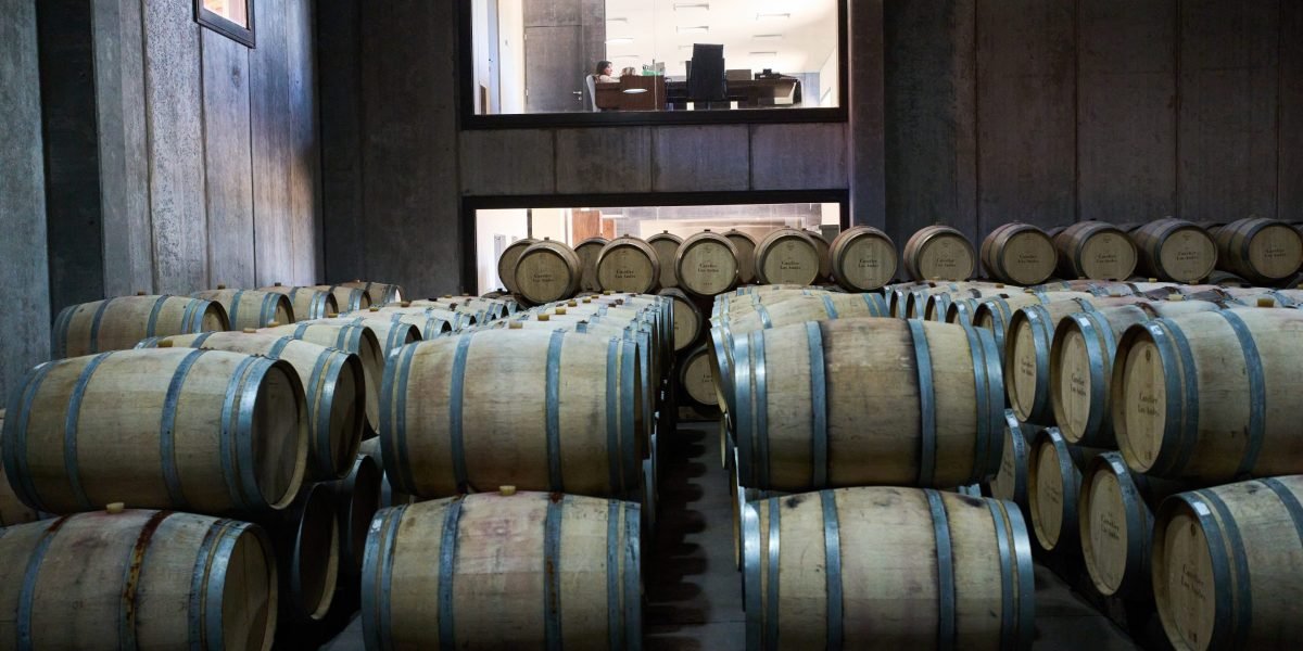 Argentines Cut Wine Consumption from 90 to 15 Liters Per Year as 1,100 Vineyards Shut Down