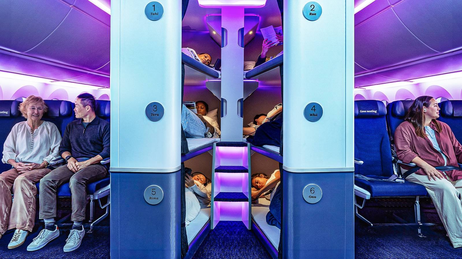 Air New Zealand's $292 Economy Bunk Beds: Cost Comparison with Premium Economy